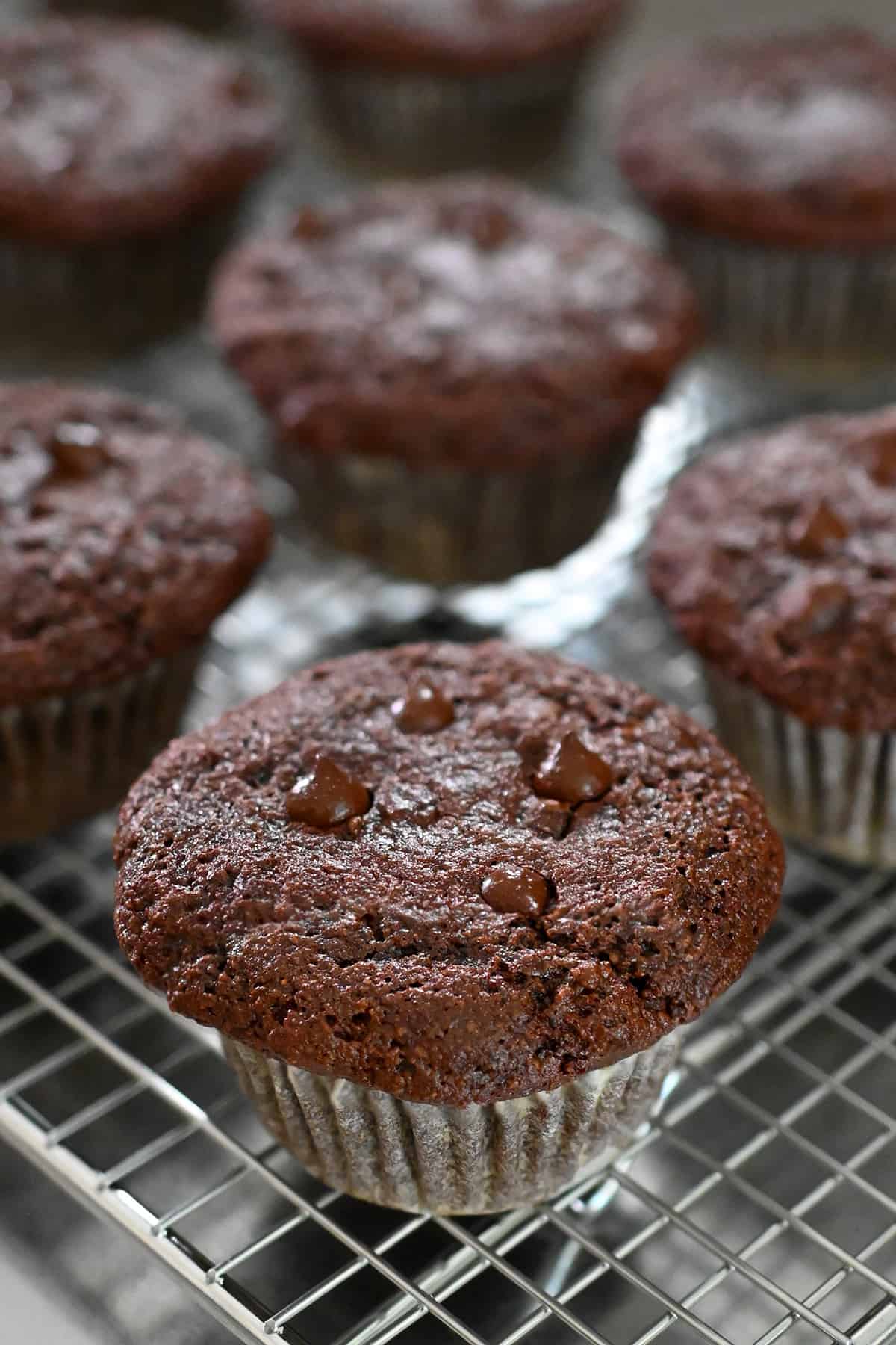 Paleo Chocolate Zucchini Muffins: Gluten-Free & AIP Options